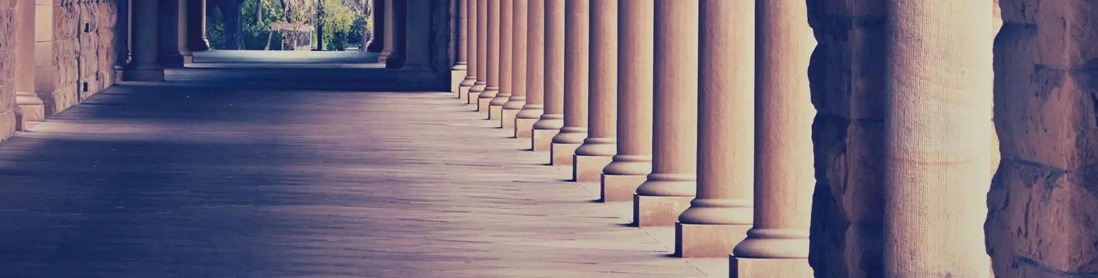 Lots of building columns