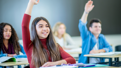 Students raise their hands during a classroom lesson